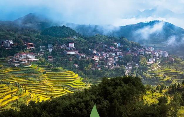 浙江将绽放“五朵金花”！针对共同富裕主战场，给出详细“战法”