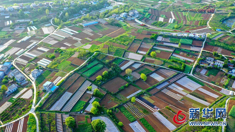 湖北十堰：万亩农田绘彩图