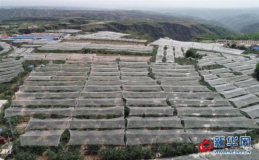 （新华全媒头条·图文互动）（1）习近平的扶贫故事