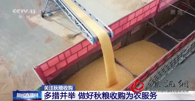 1667541667151791.png 5.png