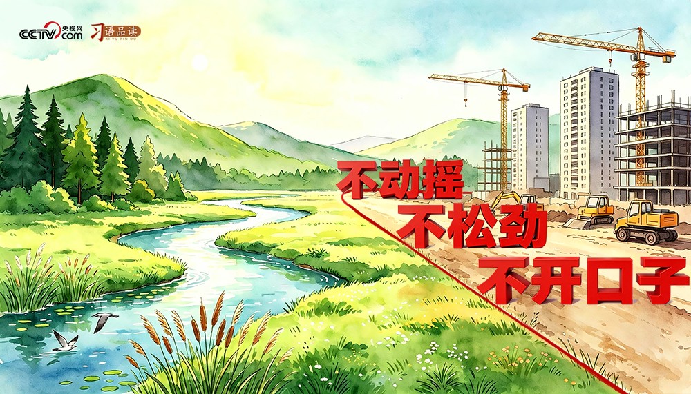 和谐共生丨不动摇、不松劲、不开口子